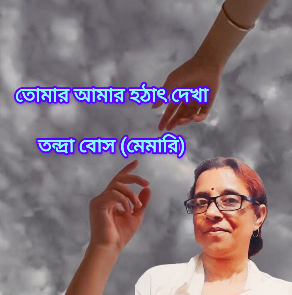 তোমার আমার হঠাৎ দেখা