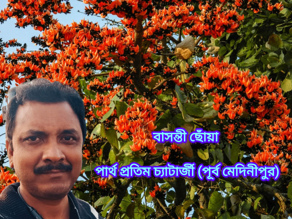 বাসন্তী ছোঁয়া