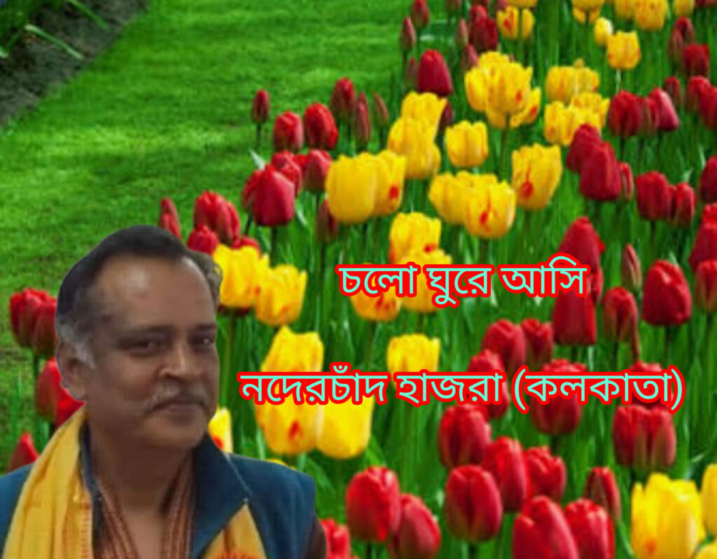চলো ঘুরে আসি