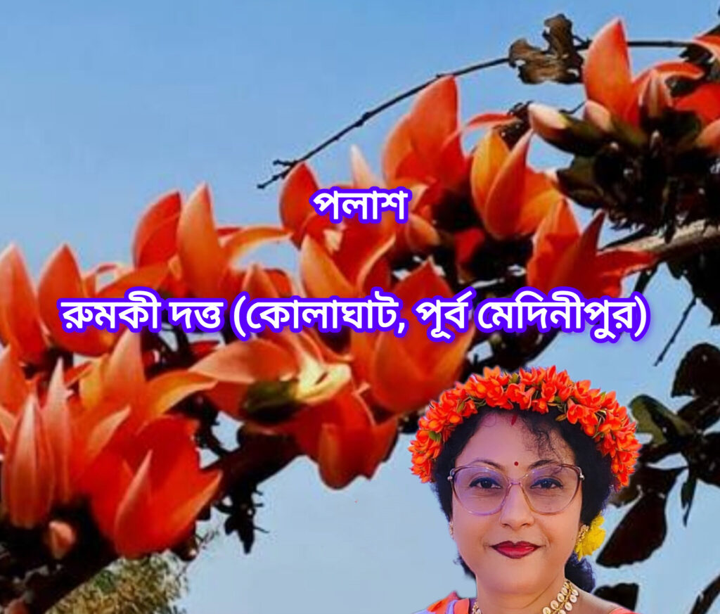 পলাশ