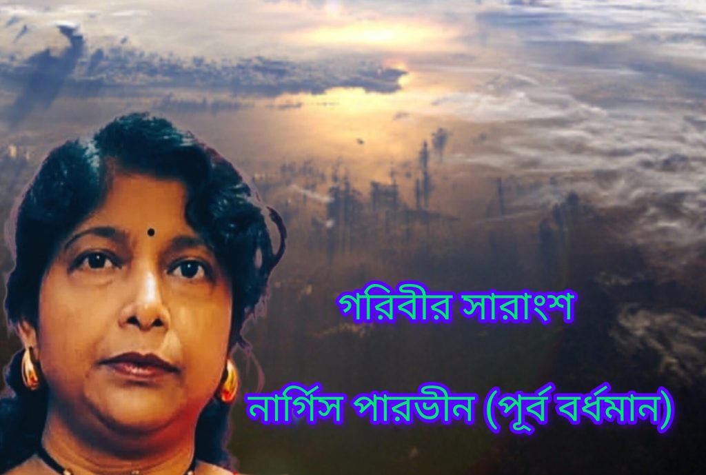 গরিবীর সারাংশ