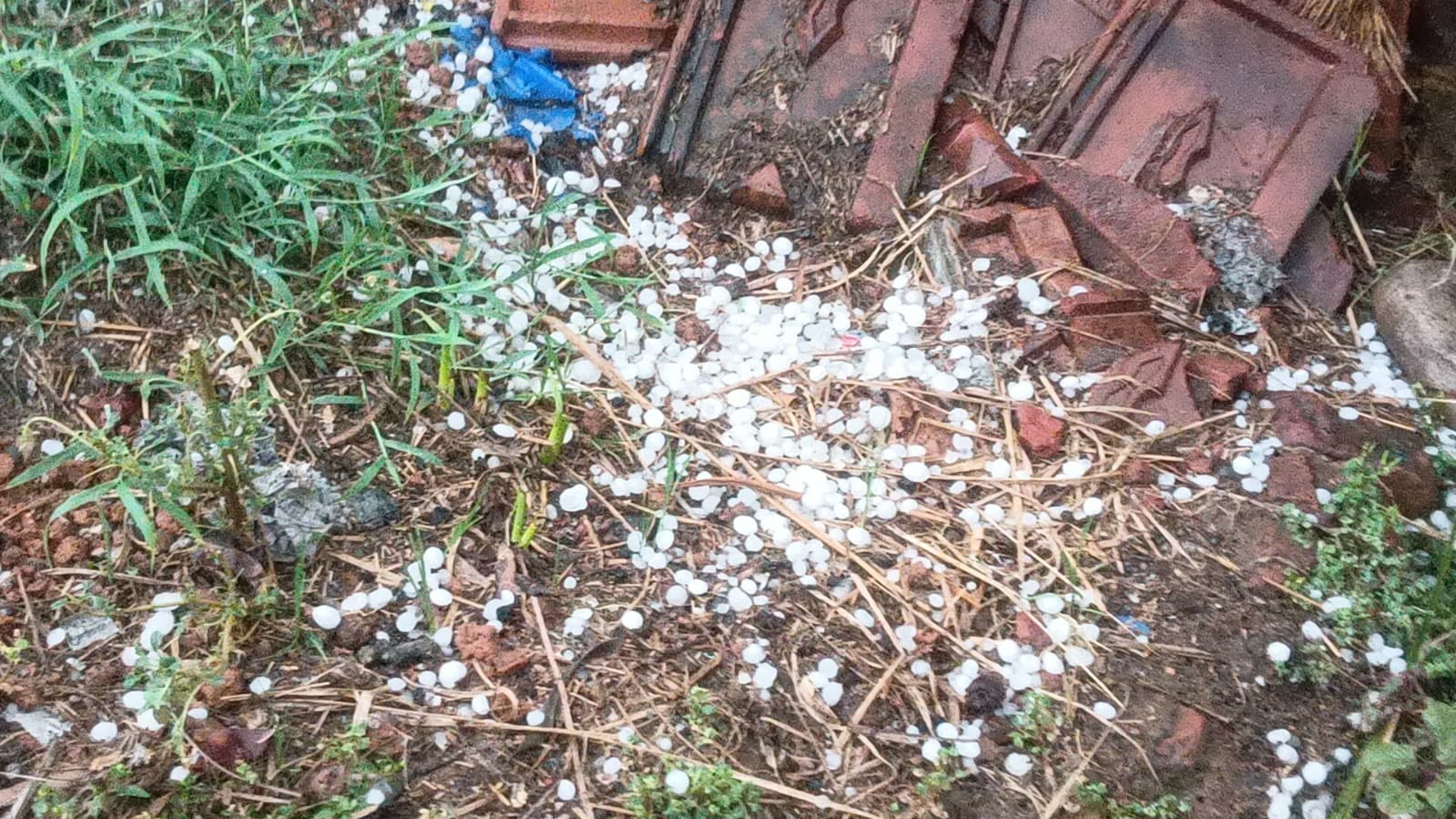 প্রখর দহনে স্বস্তির বৃষ্টি: শিল্পাঞ্চলে  নামল তাপমাত্রার পারদ