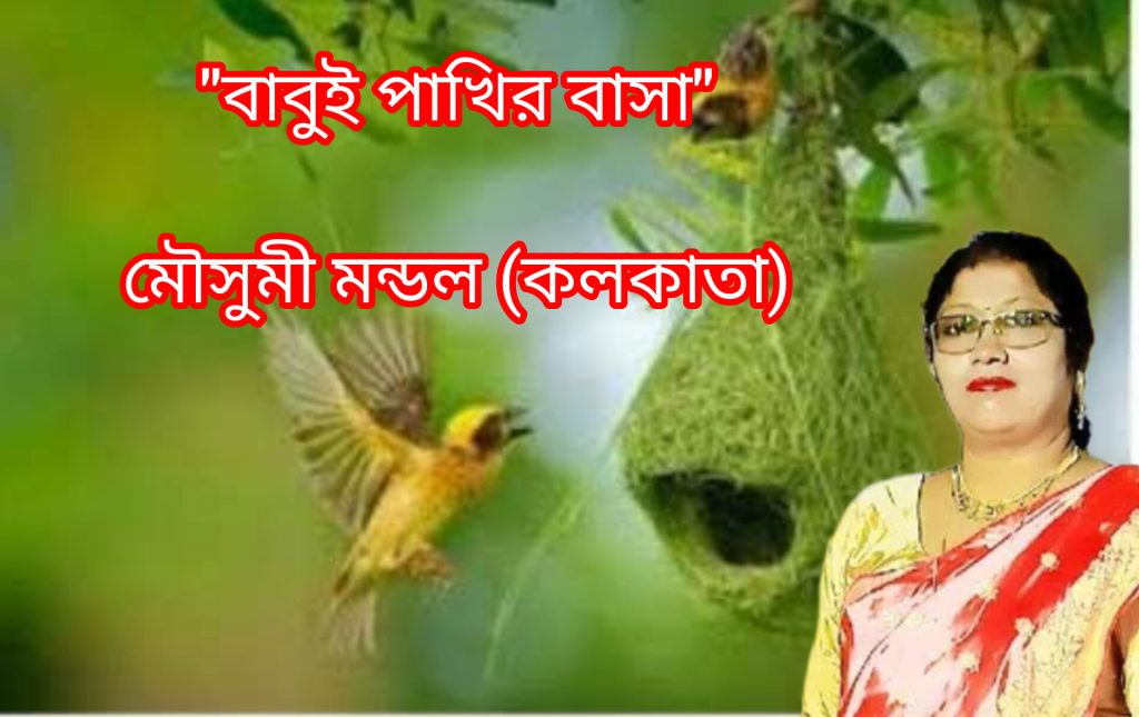 "বাবুই পাখির বাসা"