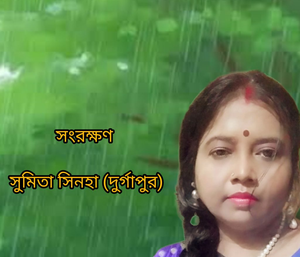 সংরক্ষণ