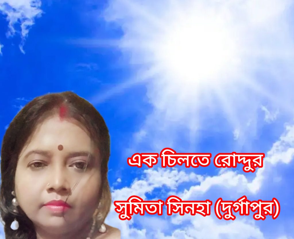 এক চিলতে রোদ্দুর