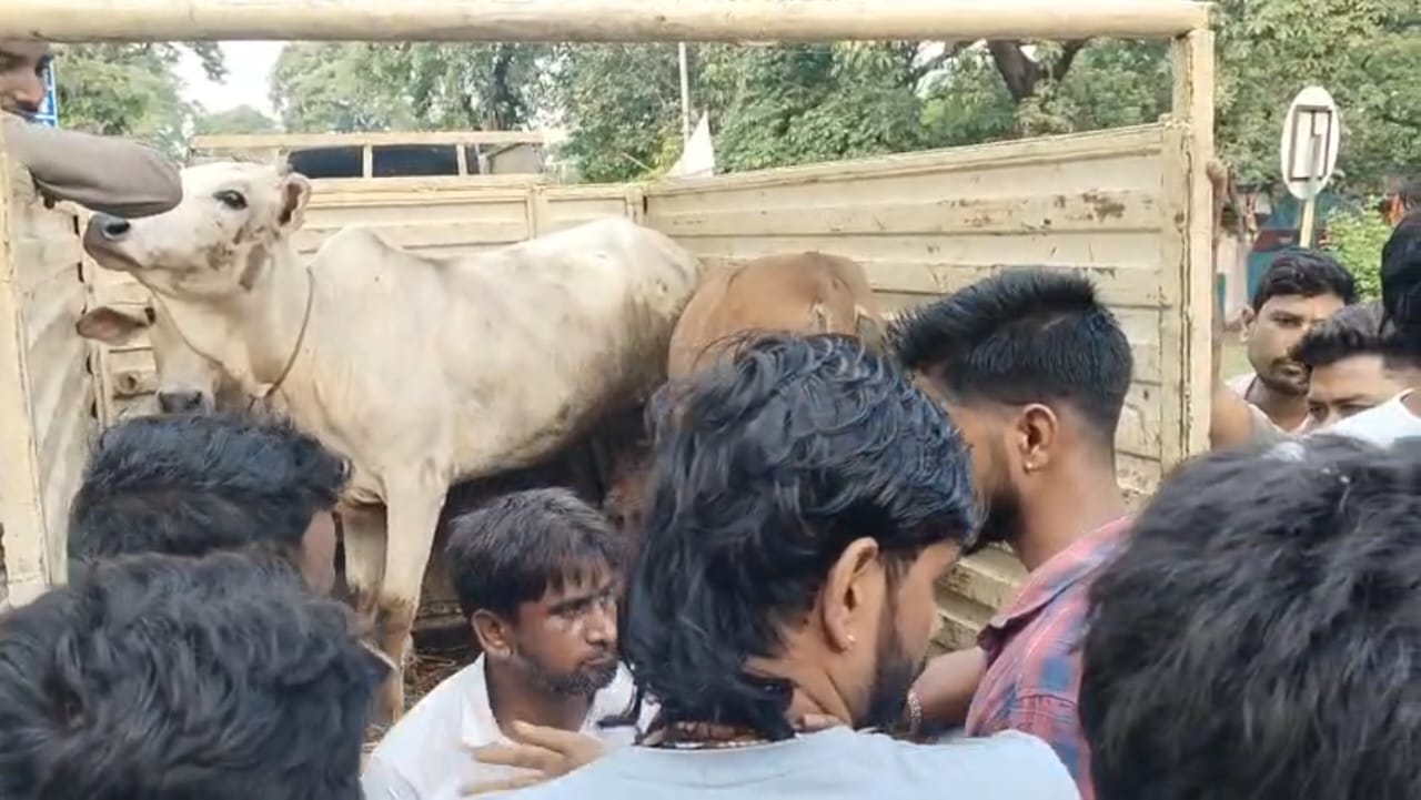 গবাদিপশু পাচারের অভিযোগে সরব বিজেওয়াইএম