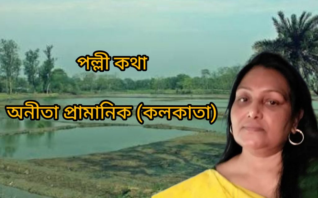 পল্লী কথা