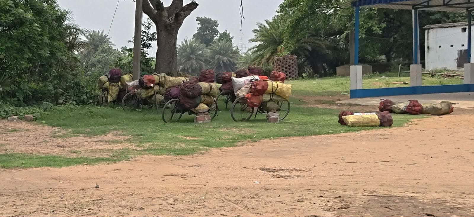 বারাবনিতে প্রশ্নের মুখে ‘জিরো টলারেন্স’