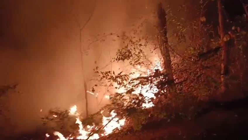 বর্ধমান ভবনের জঙ্গলে আগুন, পুলিশ ও স্থানীয়দের সহযোগিতায় নিয়ন্ত্রণে এলো আগুন বর্ধমান ভবনের জঙ্গলে আগুন, পুলিশ ও স্থানীয়দের সহযোগিতায় নিয়ন্ত্রণে এলো আগুন