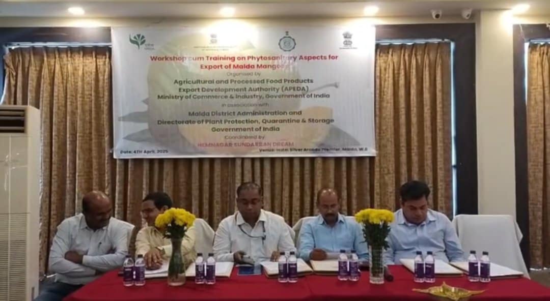 দেশের গন্ডি ছাড়িয়ে এবার মালদার আম পাড়ি দিচ্ছে বিদেশে দেশের গন্ডি ছাড়িয়ে এবার মালদার আম পাড়ি দিচ্ছে বিদেশে