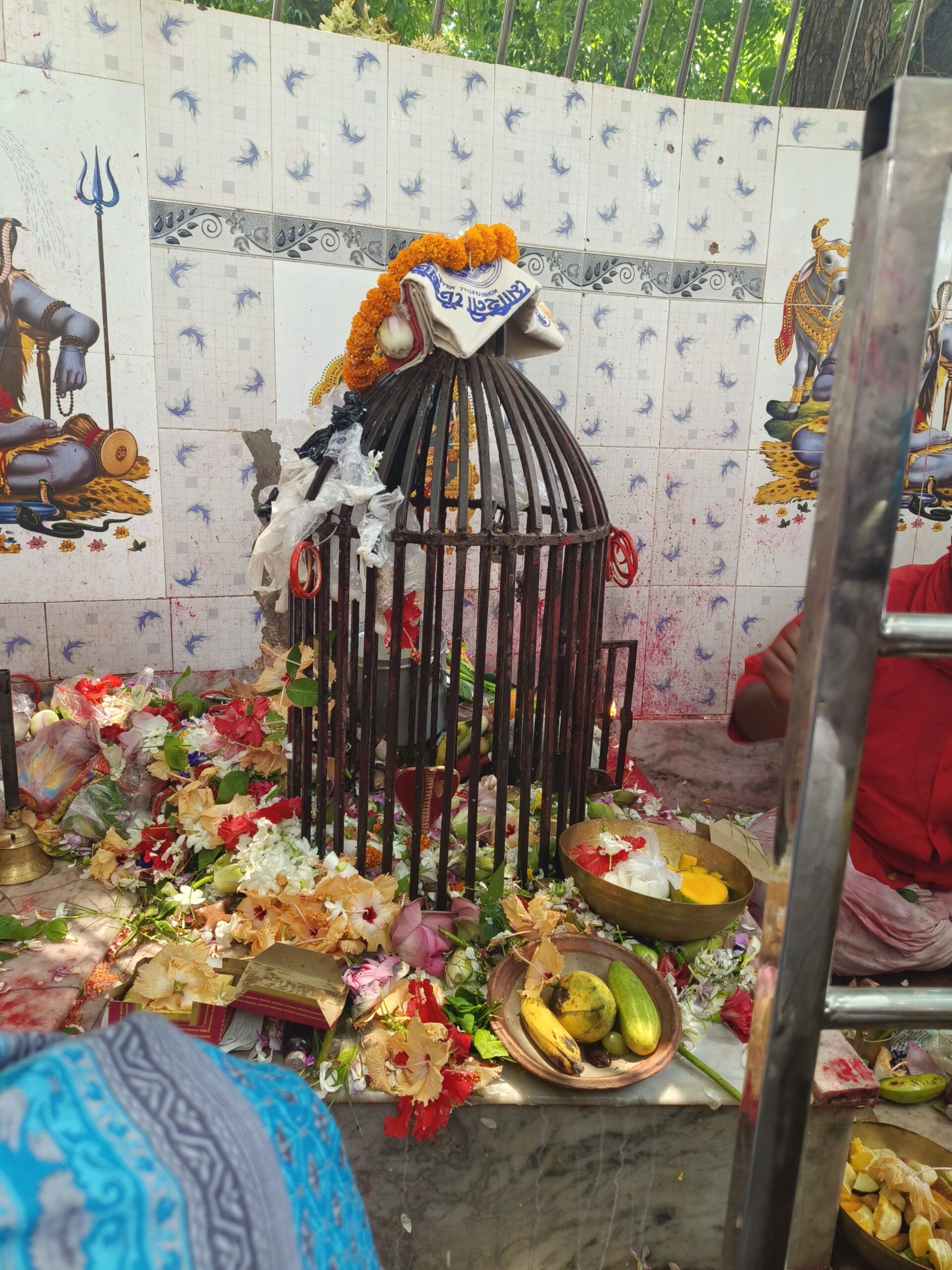 মনসামঙ্গল কাহিনী অনুসারে বিশ্বের সর্বপ্রথম মনসা মন্দিরের খোঁজ মনসামঙ্গল কাহিনী অনুসারে বিশ্বের সর্বপ্রথম মনসা মন্দিরের খোঁজ