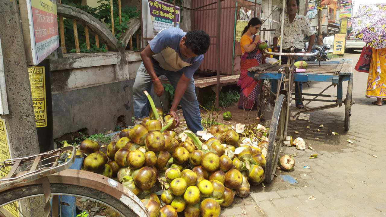 তাল শাঁস বহুগুণ সমৃদ্ধ এক উপকারী মৌসুমী ফল তাল শাঁস বহুগুণ সমৃদ্ধ এক উপকারী মৌসুমী ফল