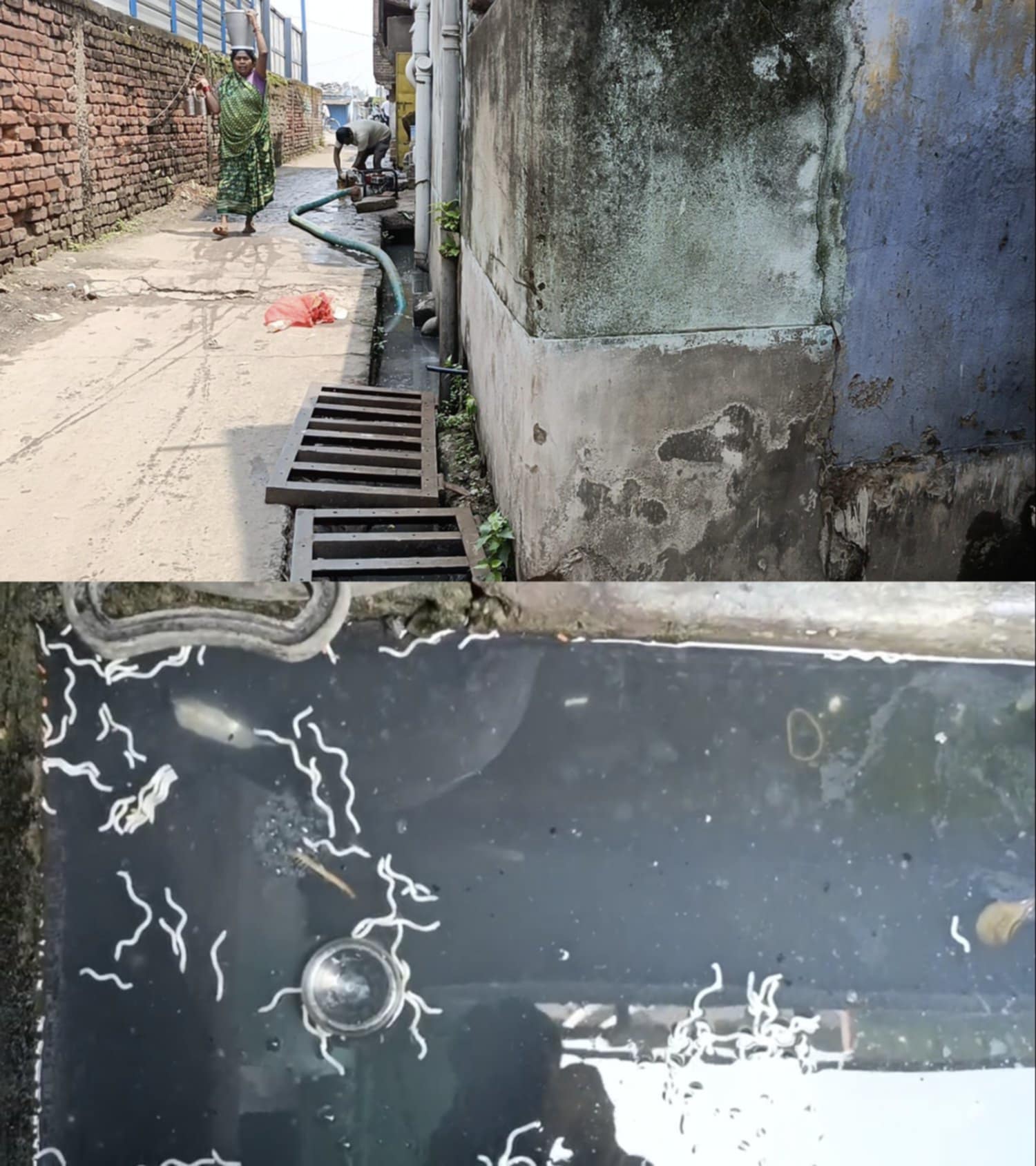 নিকাশিনালার জল বাড়ির ভিতরে জমে দেখা দিয়েছে মশার লার্ভা, সমস্যার সমাধানের আশ্বাস পঞ্চায়েতের প্রধানের নিকাশিনালার জল বাড়ির ভিতরে জমে দেখা দিয়েছে মশার লার্ভা, সমস্যার সমাধানের আশ্বাস পঞ্চায়েতের প্রধানের