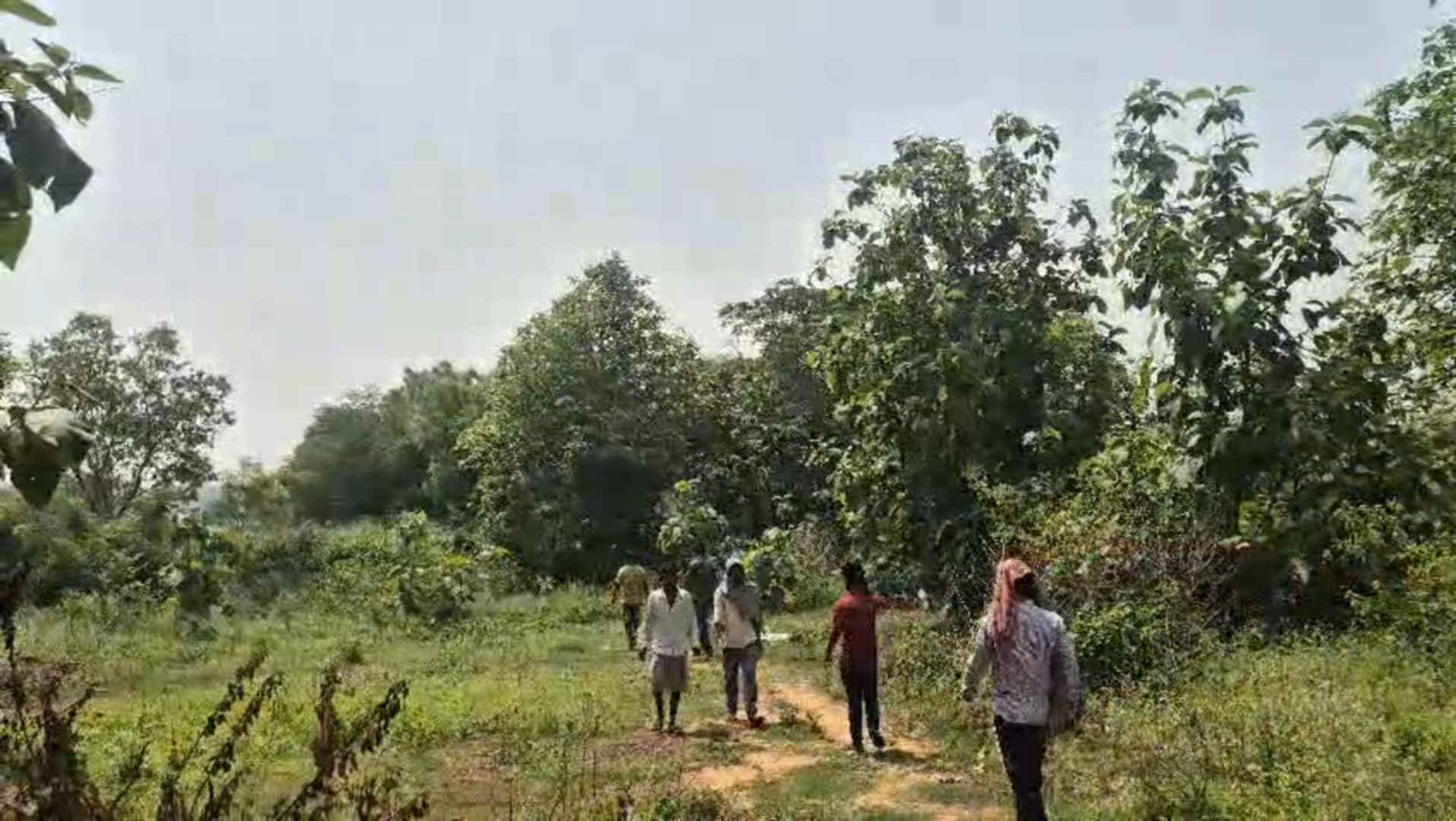 নিখোঁজ যুবকের ঝুলন্ত মৃতদেহ উদ্ধার ঘিরে চাঞ্চল্য এলাকায়