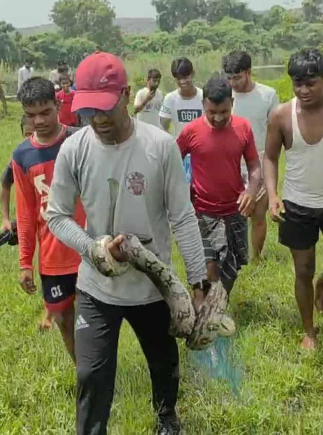 পরিহার পুড়ে মাছের জালে আটক পরলো এক বিশাল অজগর সাপ পরিহার পুড়ে মাছের জালে আটক পরলো এক বিশাল অজগর সাপ
