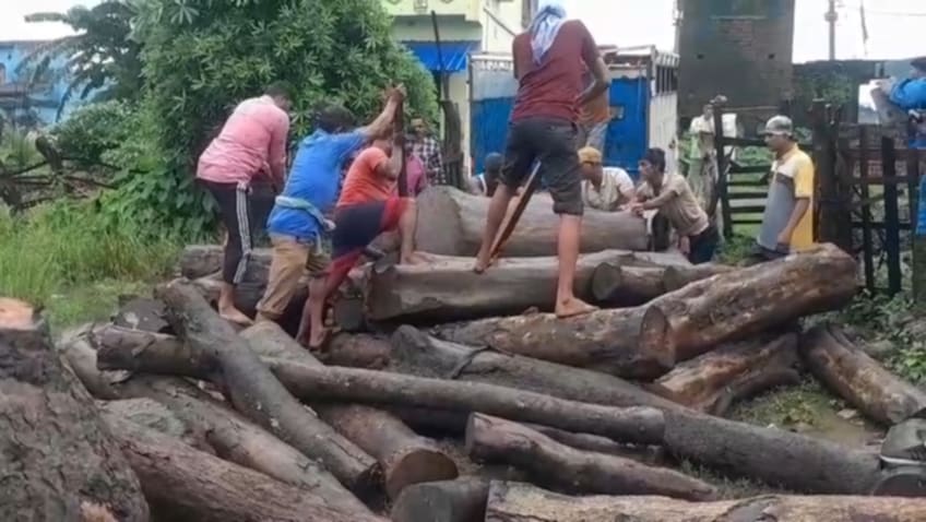 আসানসোলে অবৈধ কাঠগোলায় বন দফতরের জোরদার অভিযান,বিপুল পরিমাণে বাজেয়াপ্ত কাঠ আসানসোলে অবৈধ কাঠগোলায় বন দফতরের জোরদার অভিযান,বিপুল পরিমাণে বাজেয়াপ্ত কাঠ