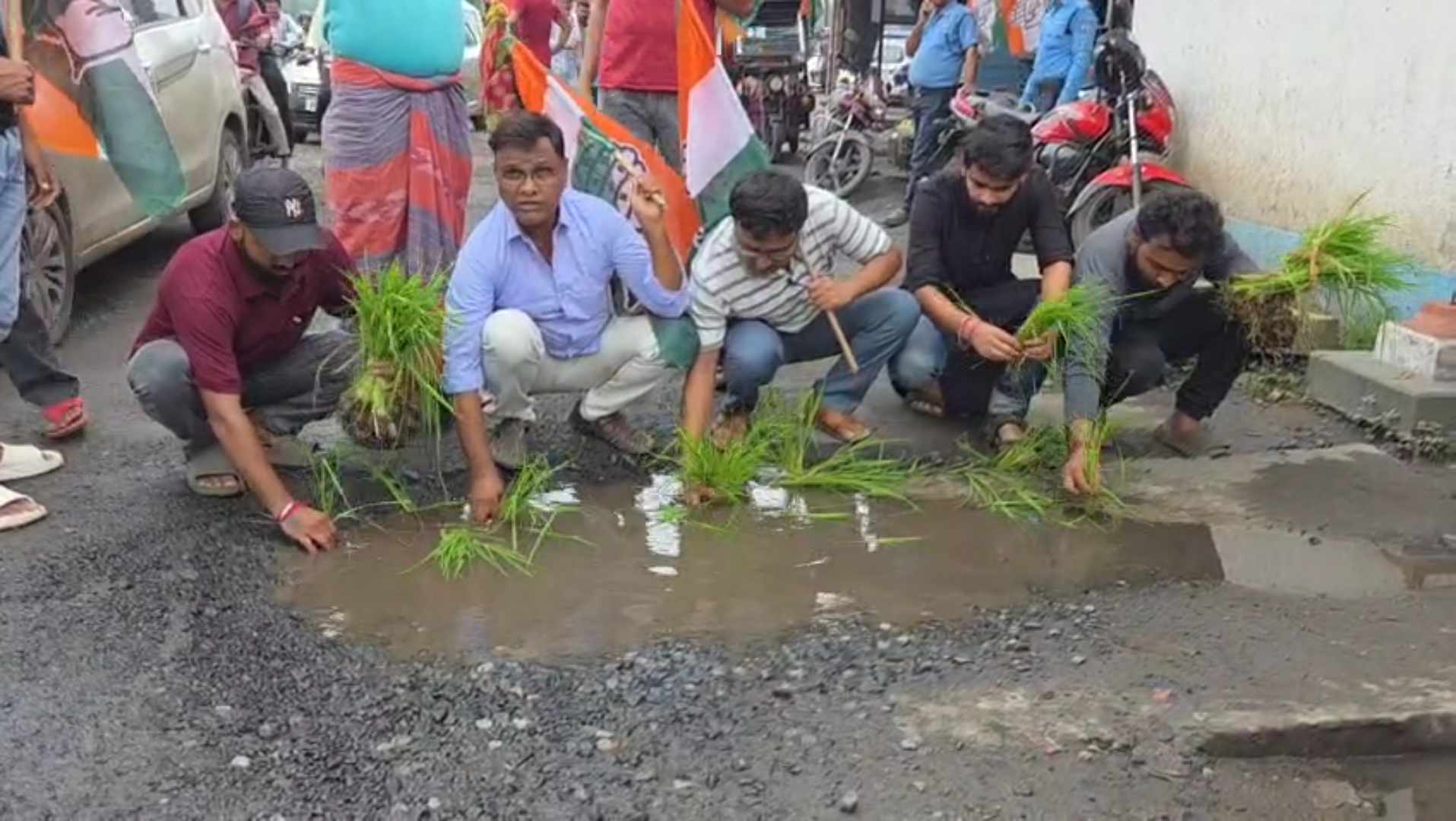 নিয়ামতপুর-ডিসেরগড় রাস্তায় গর্ত নয়, যেন ধানখেত