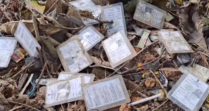 জঙ্গলের গাছতলায় আবর্জনার স্তূপ থেকে পাওয়া গেলো প্রচুর পরিমানে ভোটারকার্ড জঙ্গলের গাছতলায় আবর্জনার স্তূপ থেকে পাওয়া গেলো প্রচুর পরিমানে ভোটারকার্ড