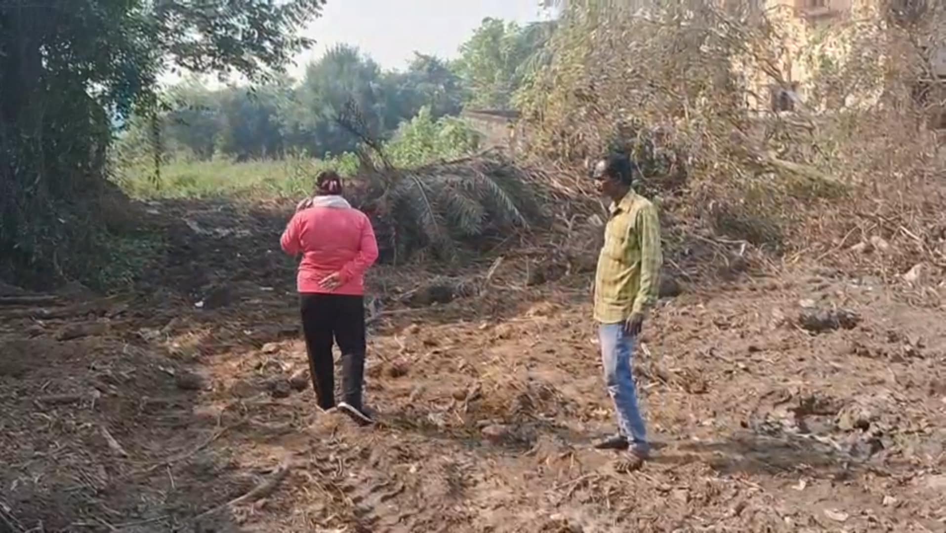 কুলটির কুলতোড়া মোড় সংলগ্ন রাস্তার পাশে একাধিক বড় গাছ কেটে ফেলার অভিযোগ